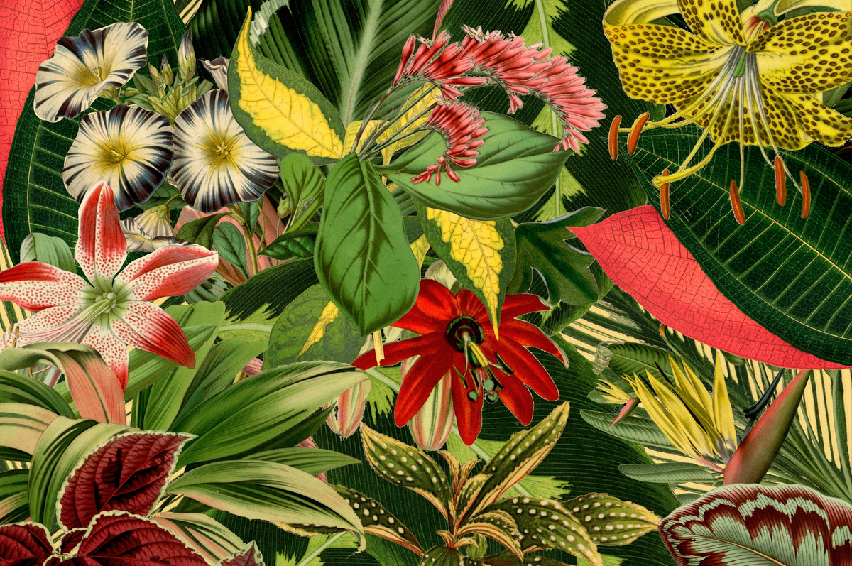 Carpet Herbarium of Extinct Plants 200x300 rectangle